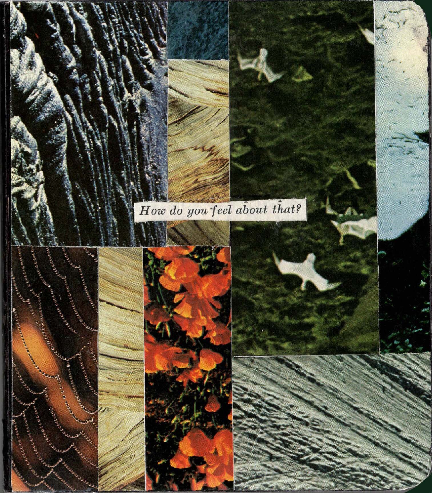 HDYFAT cover Final.jpg