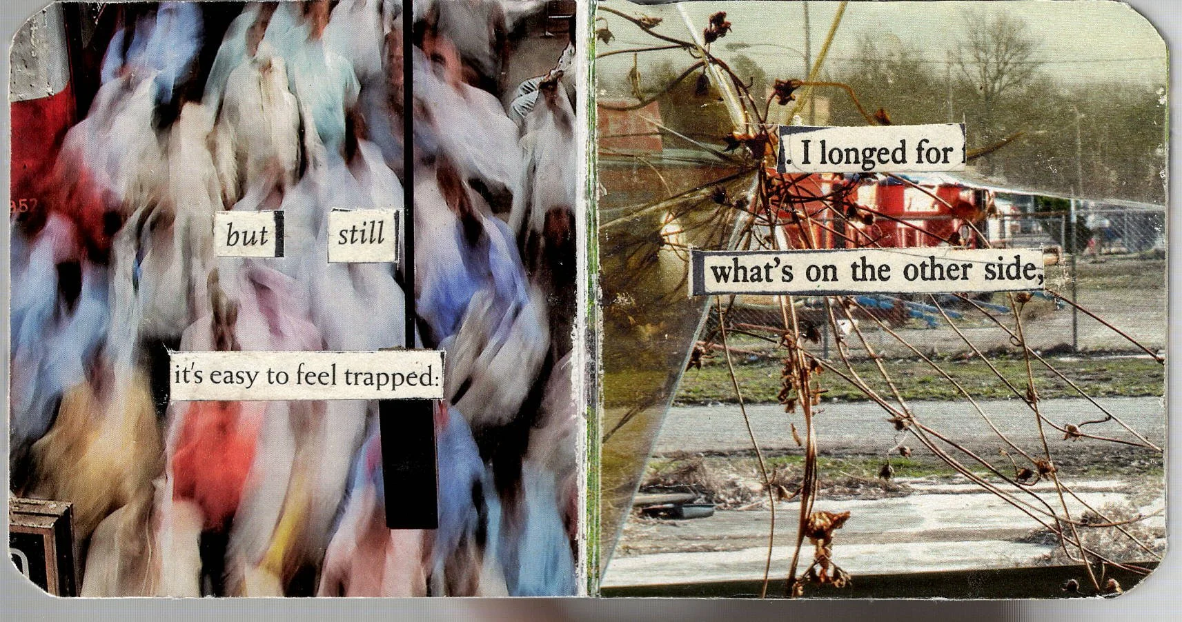 Free To Choose 2.jpeg