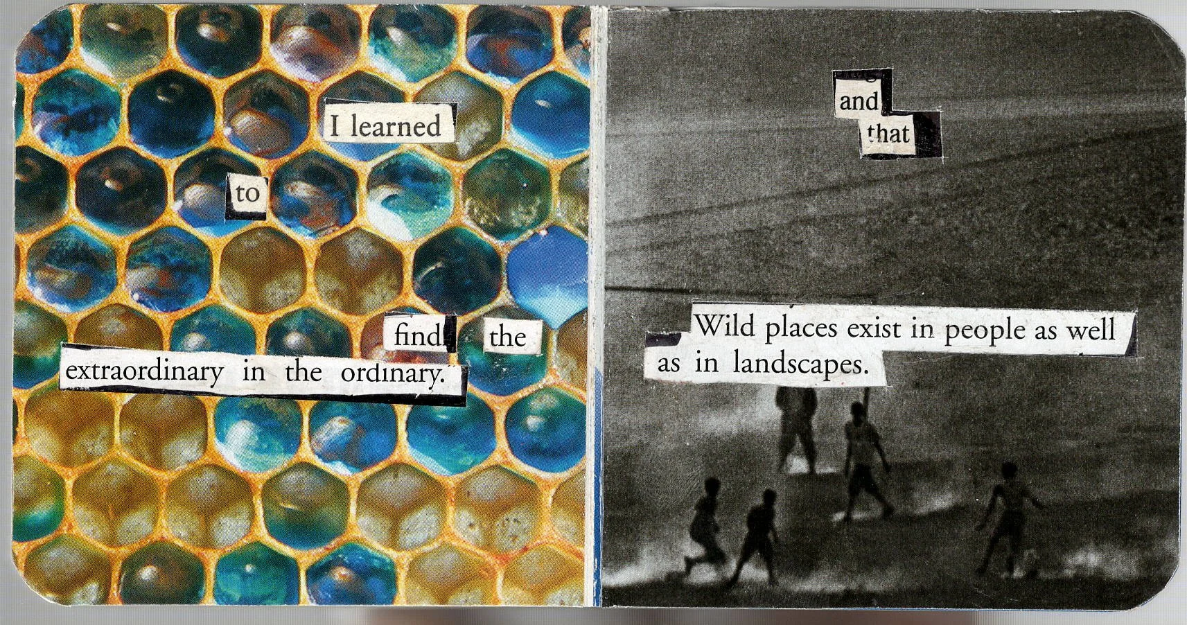 Free To Choose 4.jpeg