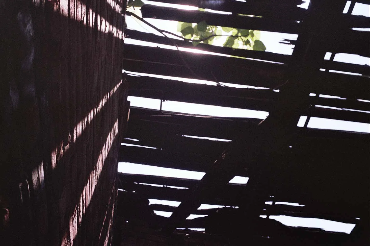 12A_0107.jpg