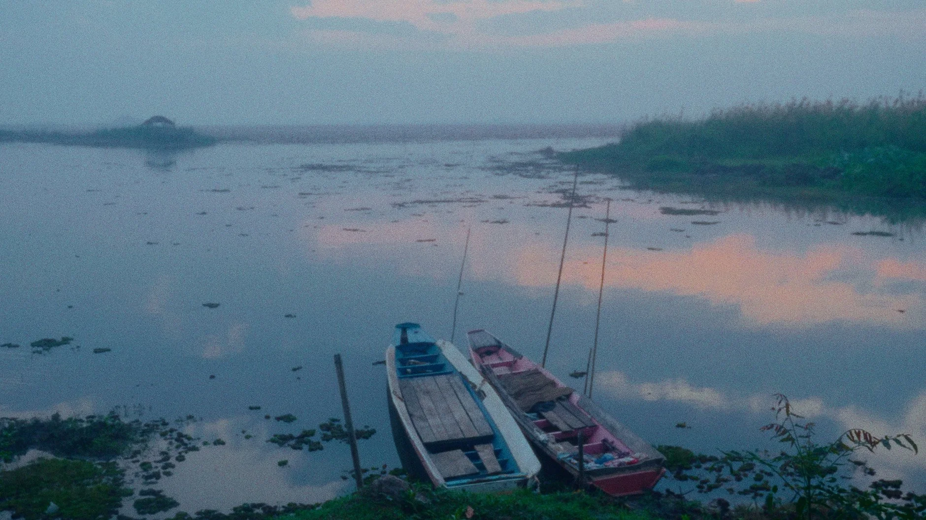LotusLake_1.3.1.jpg