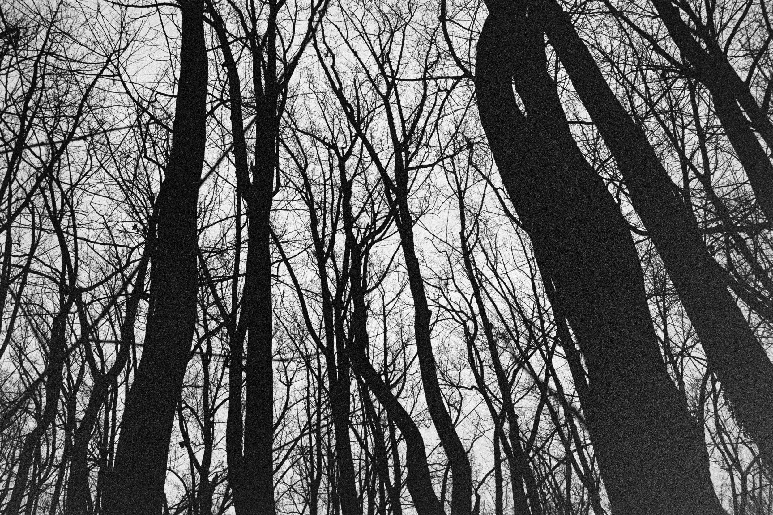 2858_10.jpg