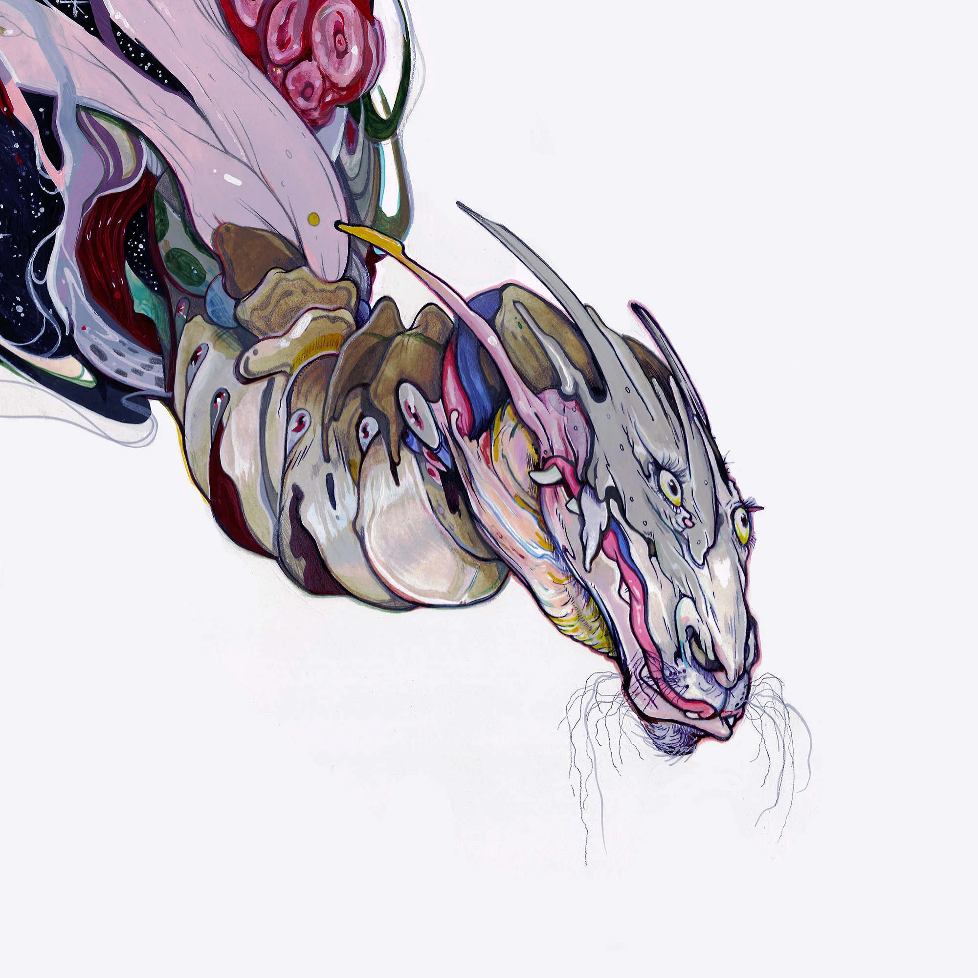 Fusion 02