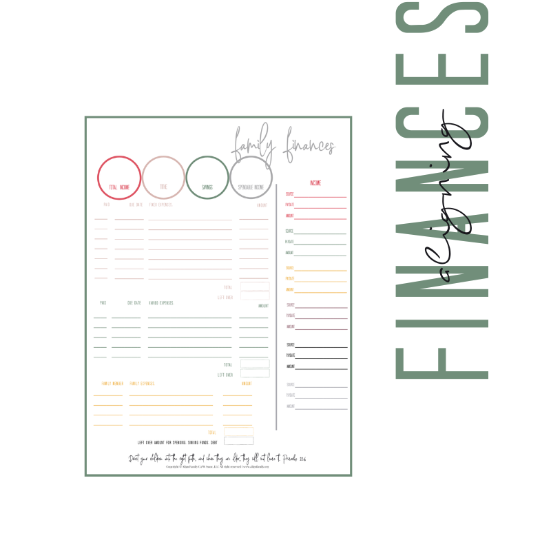 Multi-Stream Income Budget Planner