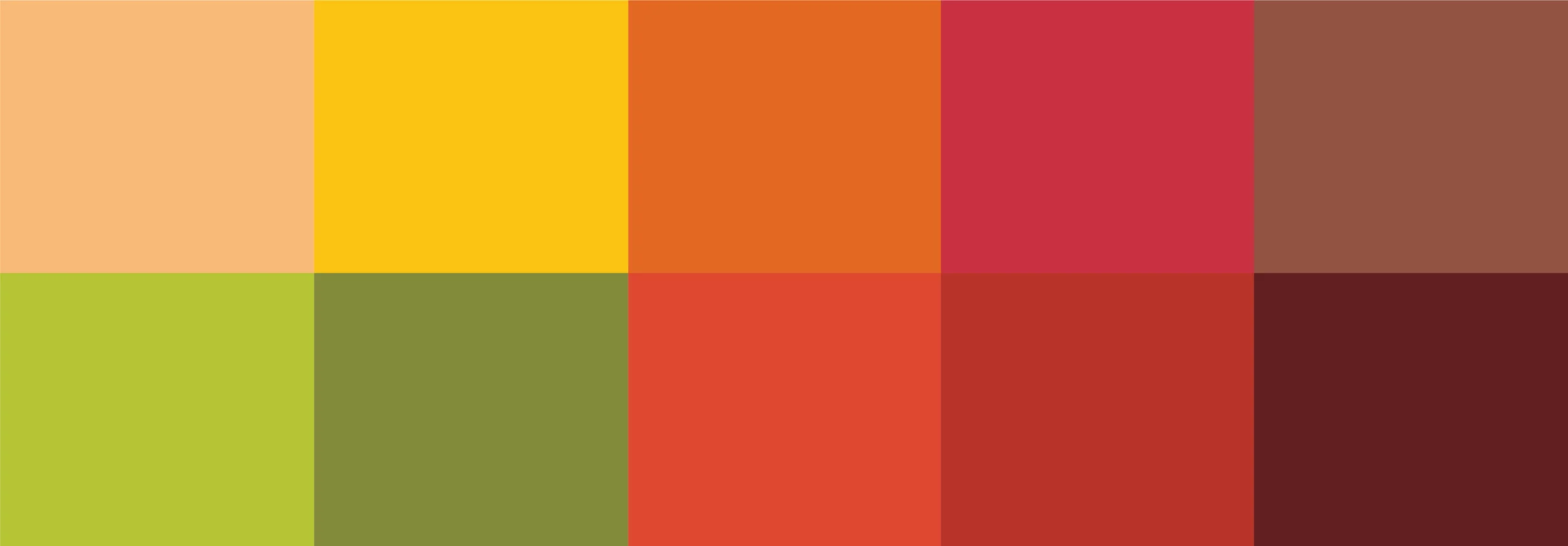 Kangaroo_color_palette.jpg