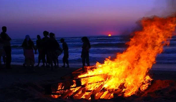[San Diego] Psychedelic Awareness Bonfire Social, Free Event