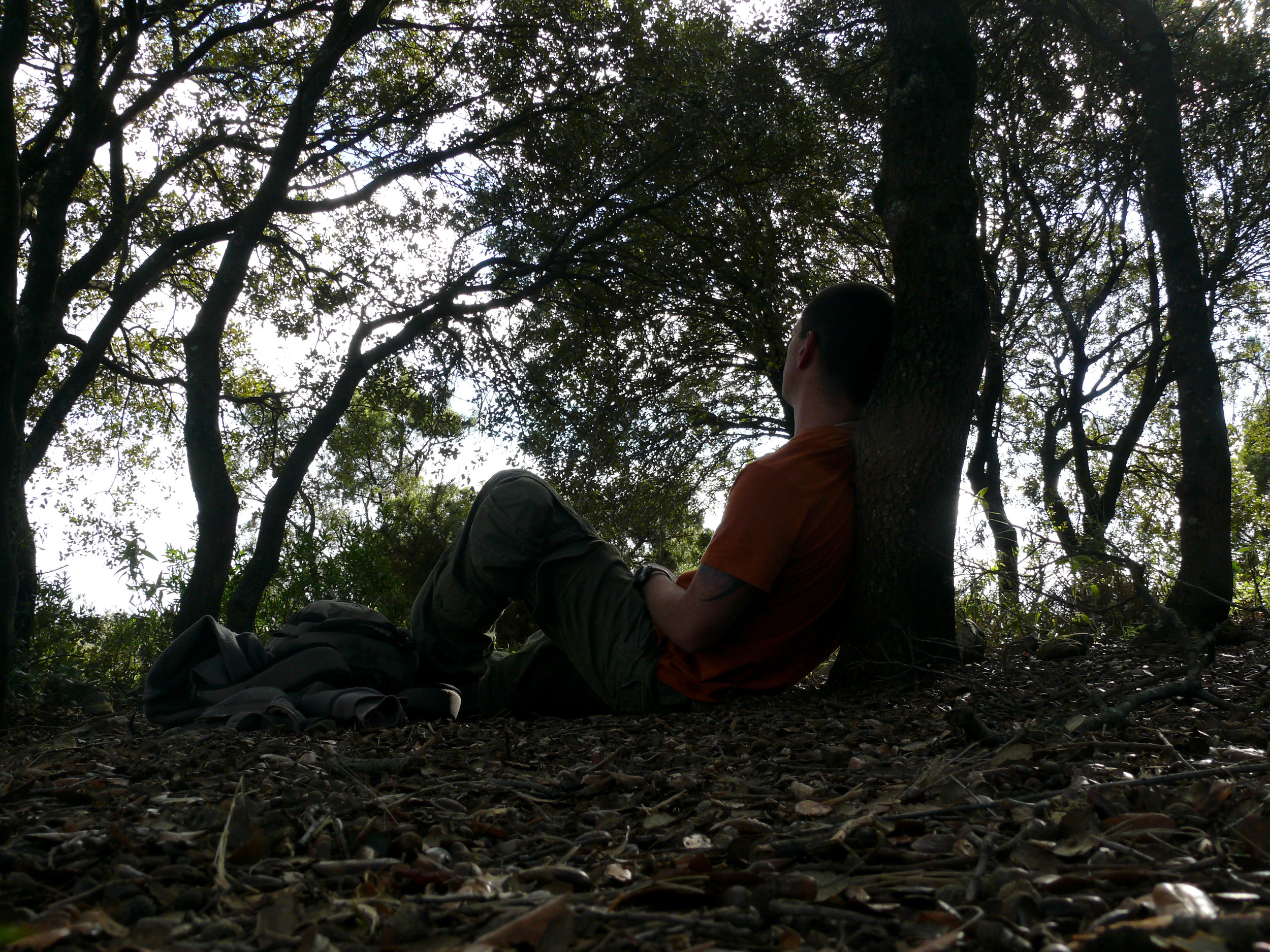 P1150575.JPG