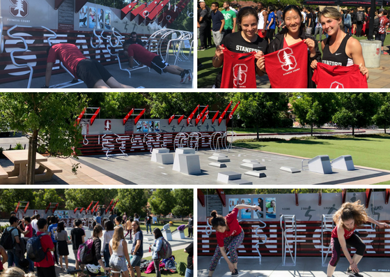 stanford 2.png