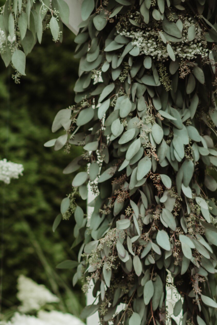 columbia-winery-wedding-greenery-pacific-engagements-