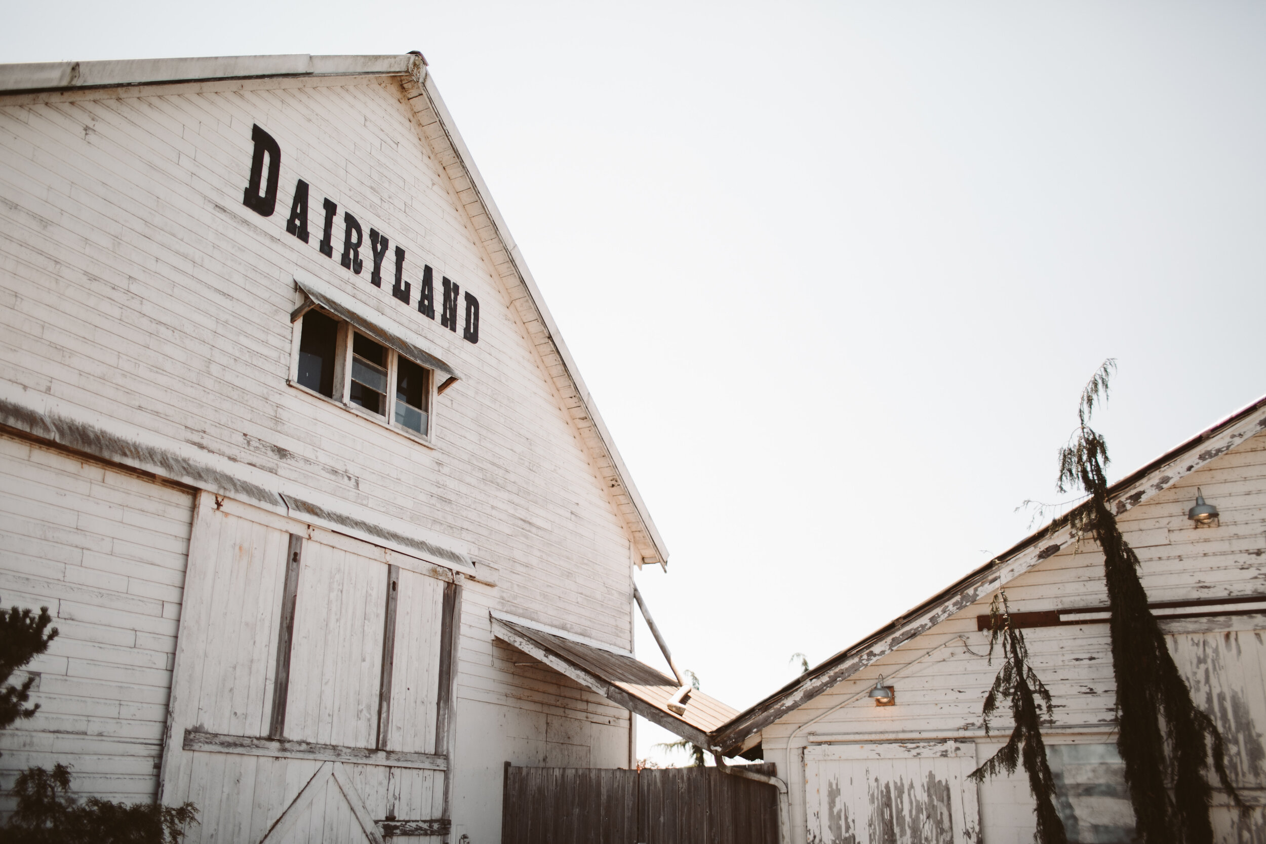 dairyland-snohomish-wedding-venues-allison-harp-photography