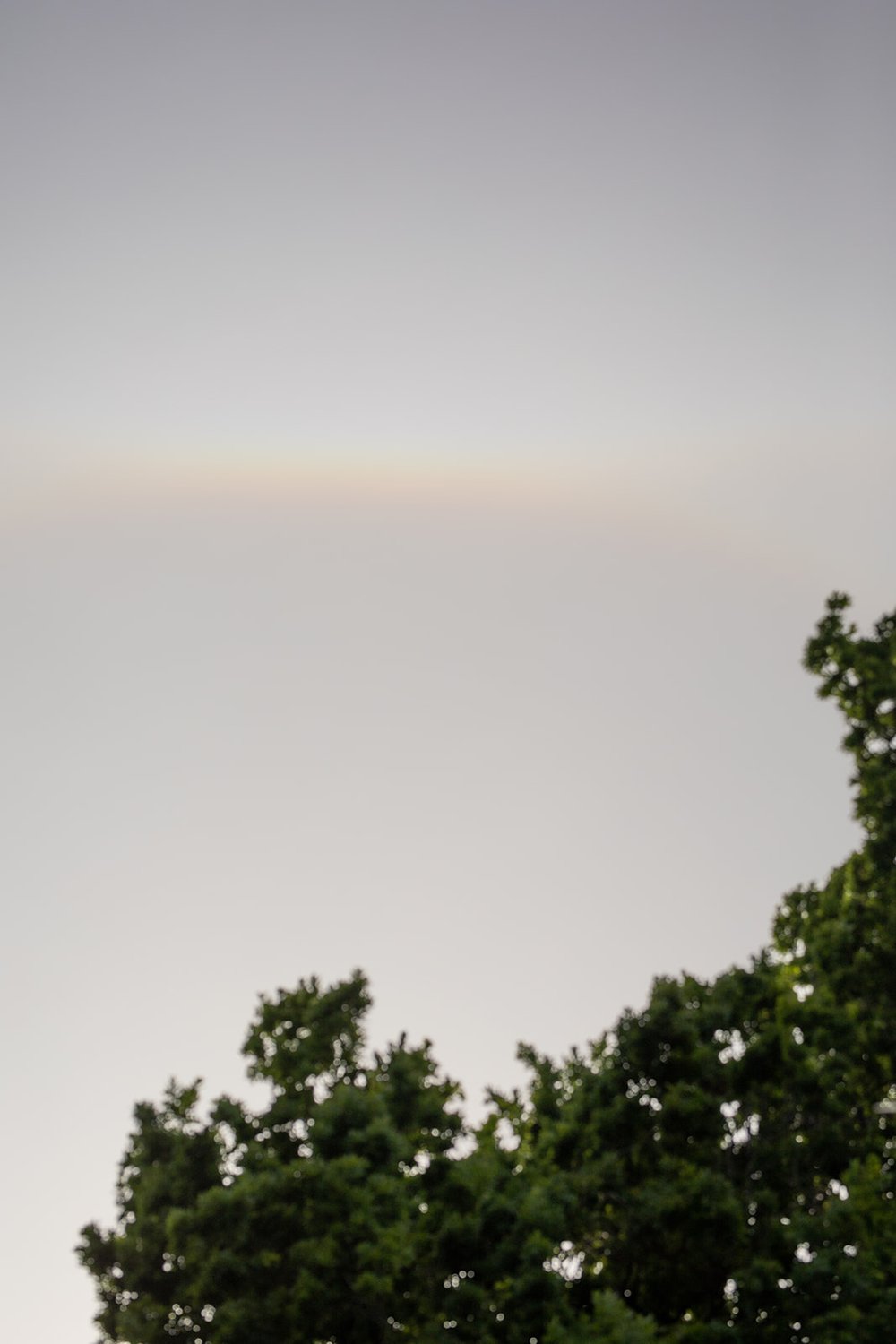 pacific-engagements-ruth-bancroft-gardens-wedding-ceremony-rainbow-in-sky-sam-minter-photography