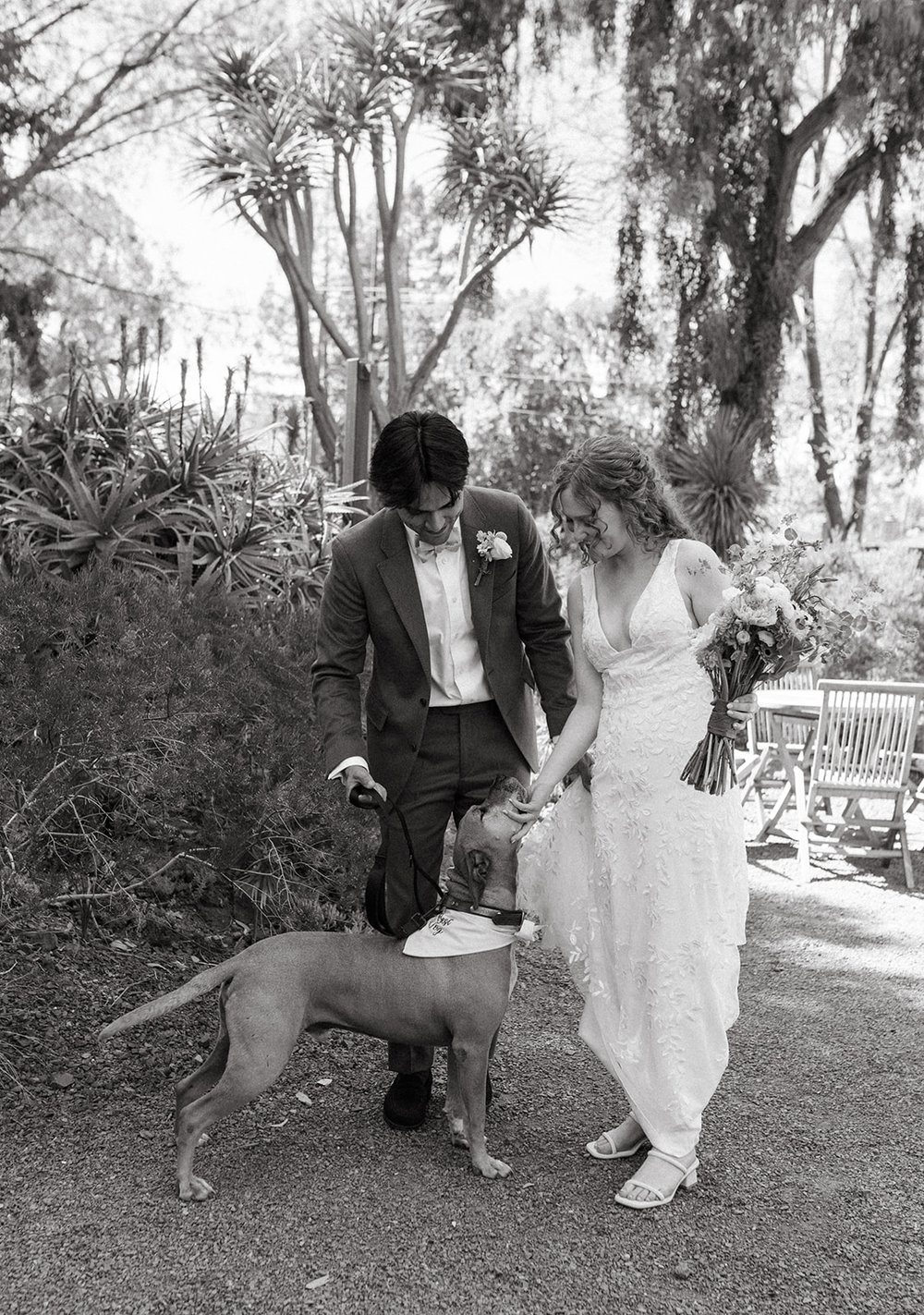 pacific-engagements-ruth-bancroft-gardens-wedding-bride-and-groom-with-dog-photos-sam-minter-photography