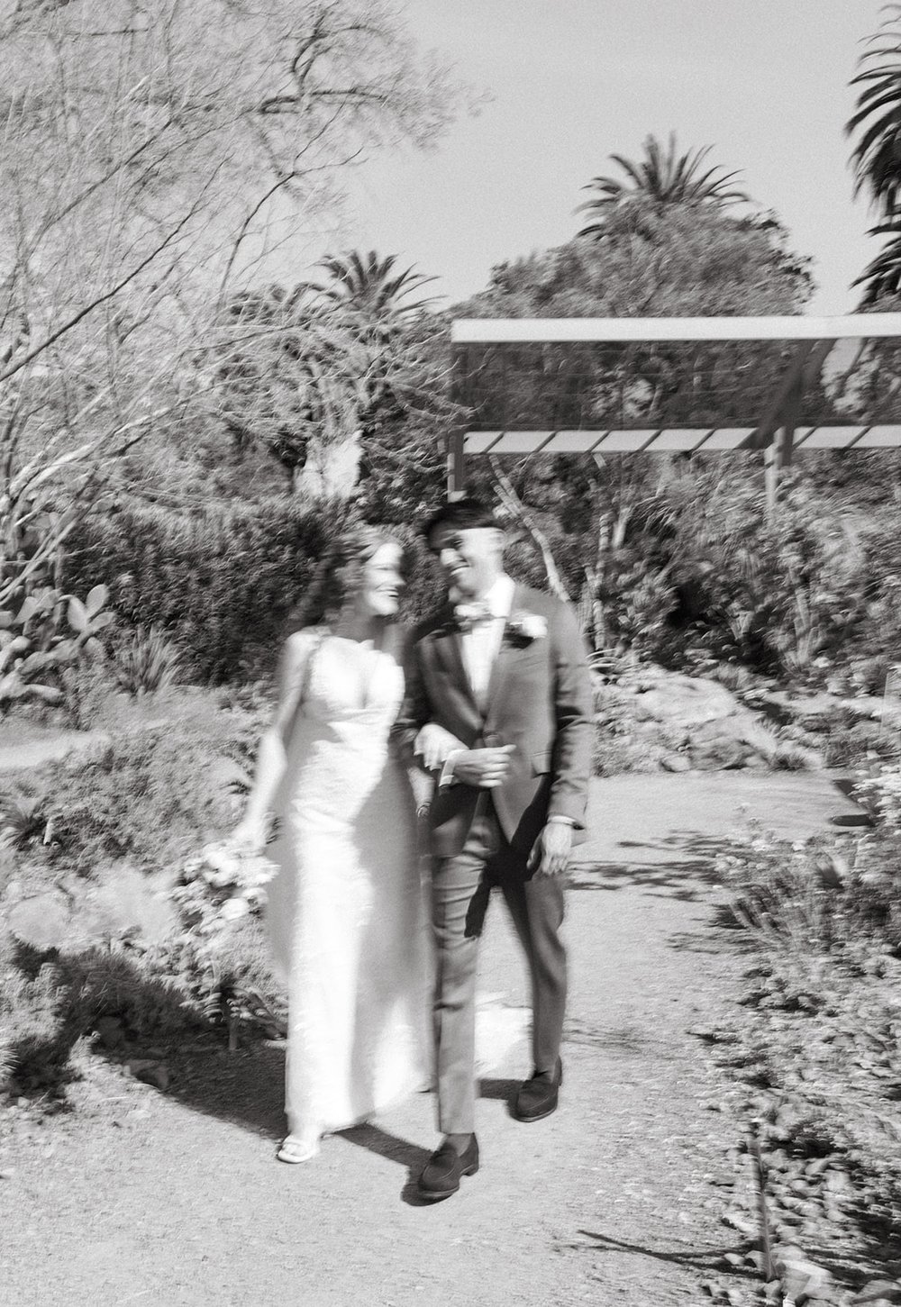 pacific-engagements-ruth-bancroft-gardens-wedding-bride-and-groom-walking-photos-black-and-white-film-sam-minter-photography