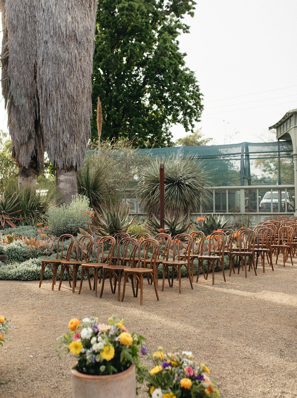 pacific-engagements-ruth-bancroft-gardens-wedding-ceremony-photos-bentwood-chairs-sam-minter-photography