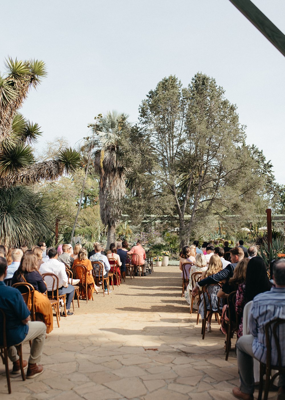 pacific-engagements-ruth-bancroft-gardens-wedding-photos-of-guests-sitting-sam-minter-photography