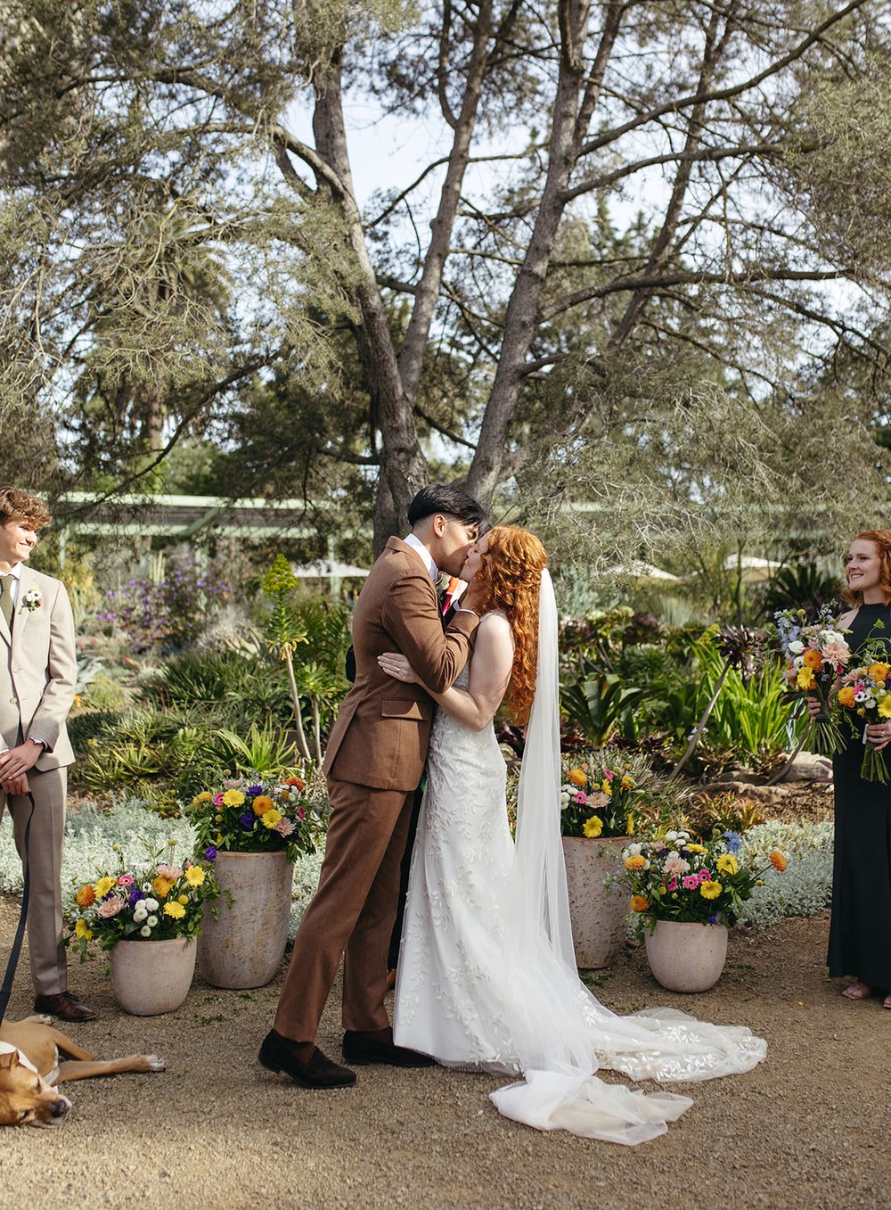 pacific-engagements-ruth-bancroft-gardens-wedding-photos-bride-and-groom-kissing-ceremony-photos-sam-minter-photography