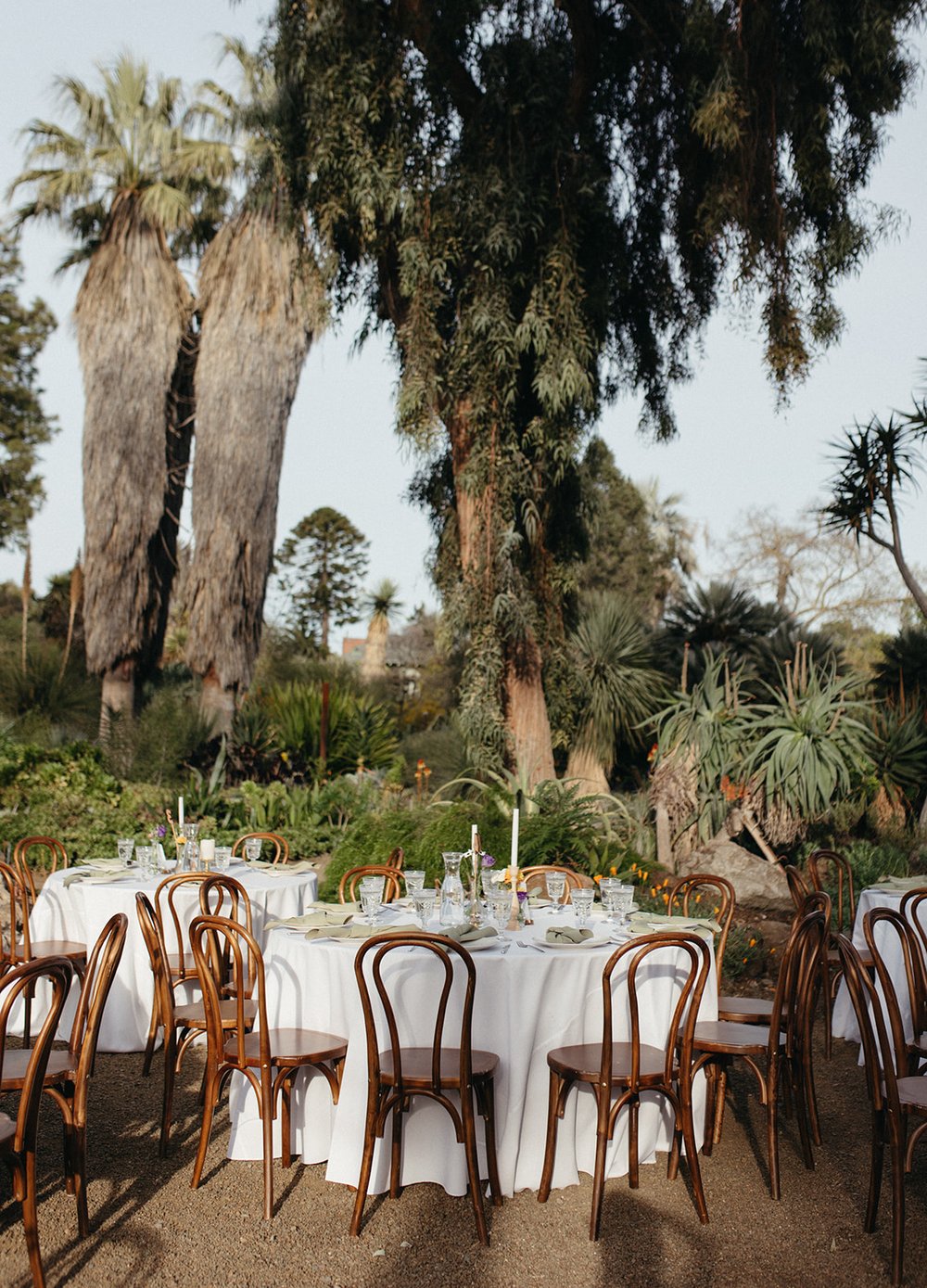 pacific-engagements-ruth-bancroft-gardens-wedding-reception-photos-eucalyptus-grove-reception-dinner-sam-minter-photography