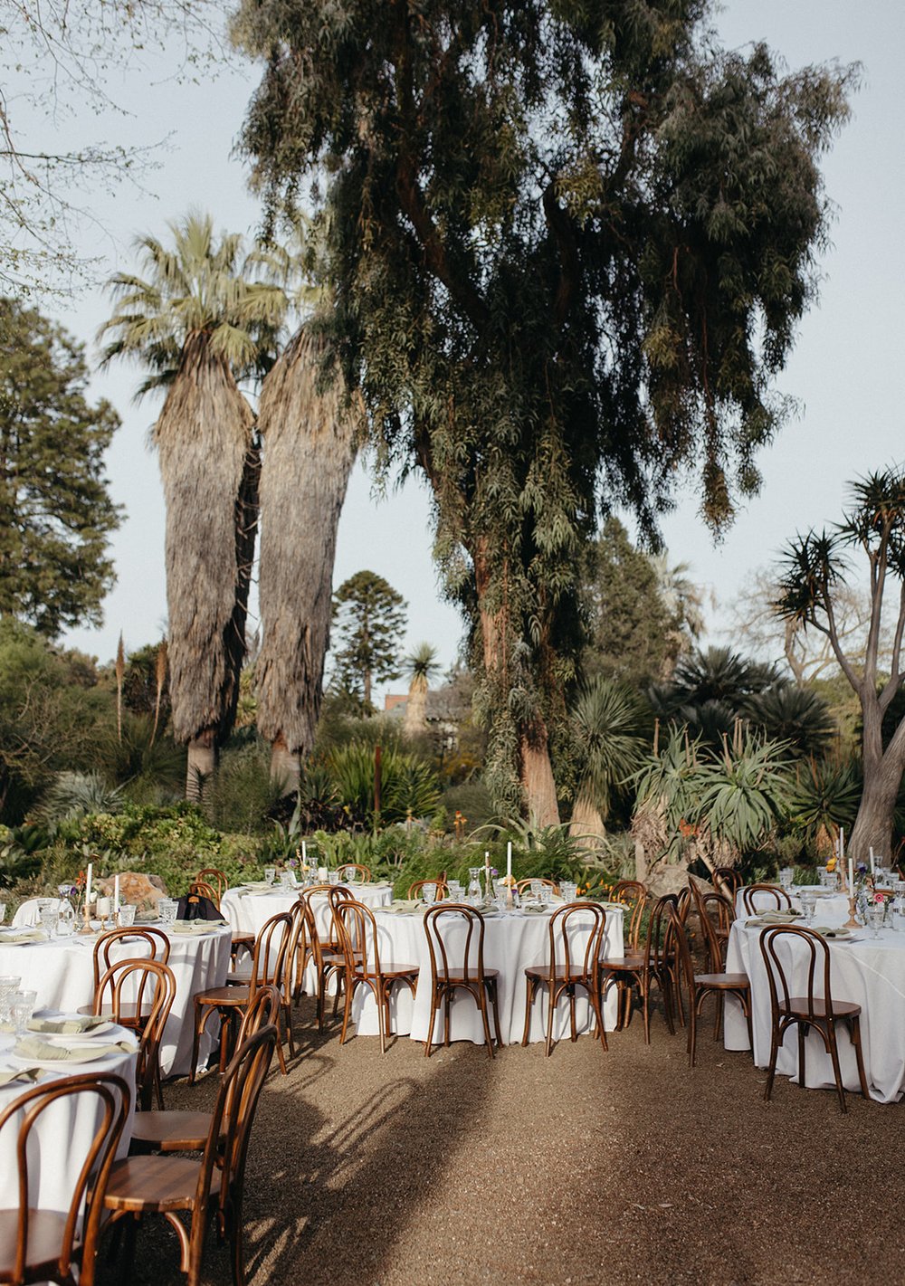 pacific-engagements-ruth-bancroft-gardens-wedding-reception-photos-eucalyptus-grove-reception-dinner-outdoors-sam-minter-photography