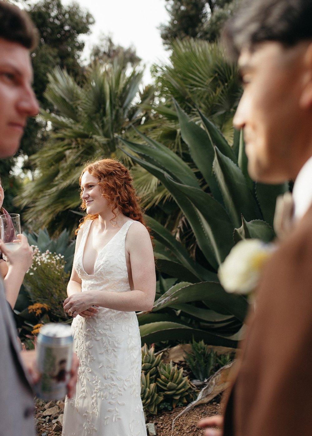 pacific-engagements-ruth-bancroft-gardens-wedding-cocktail-hour-candid-photos-succulent-island-sam-minter-photography