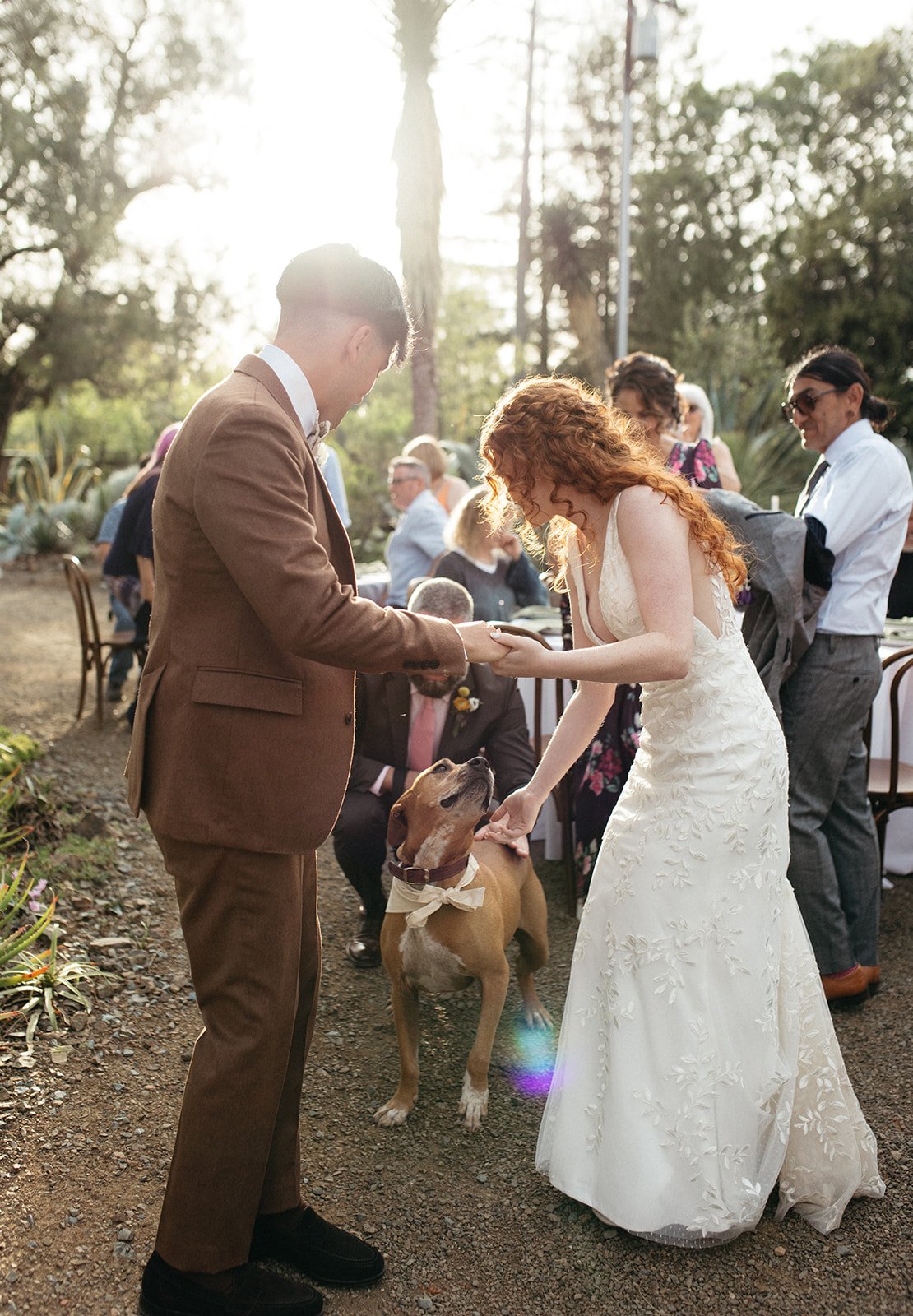 pacific-engagements-ruth-bancroft-gardens-wedding-photos-sam-minter-photography