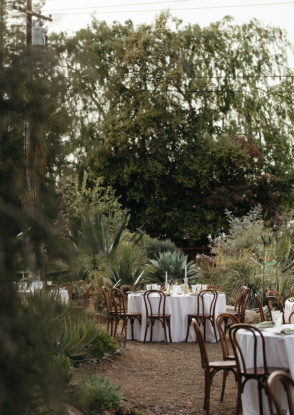 pacific-engagements-ruth-bancroft-gardens-wedding-reception-photos-eucalyptus-grove-reception-dinner-outside-sam-minter-photography