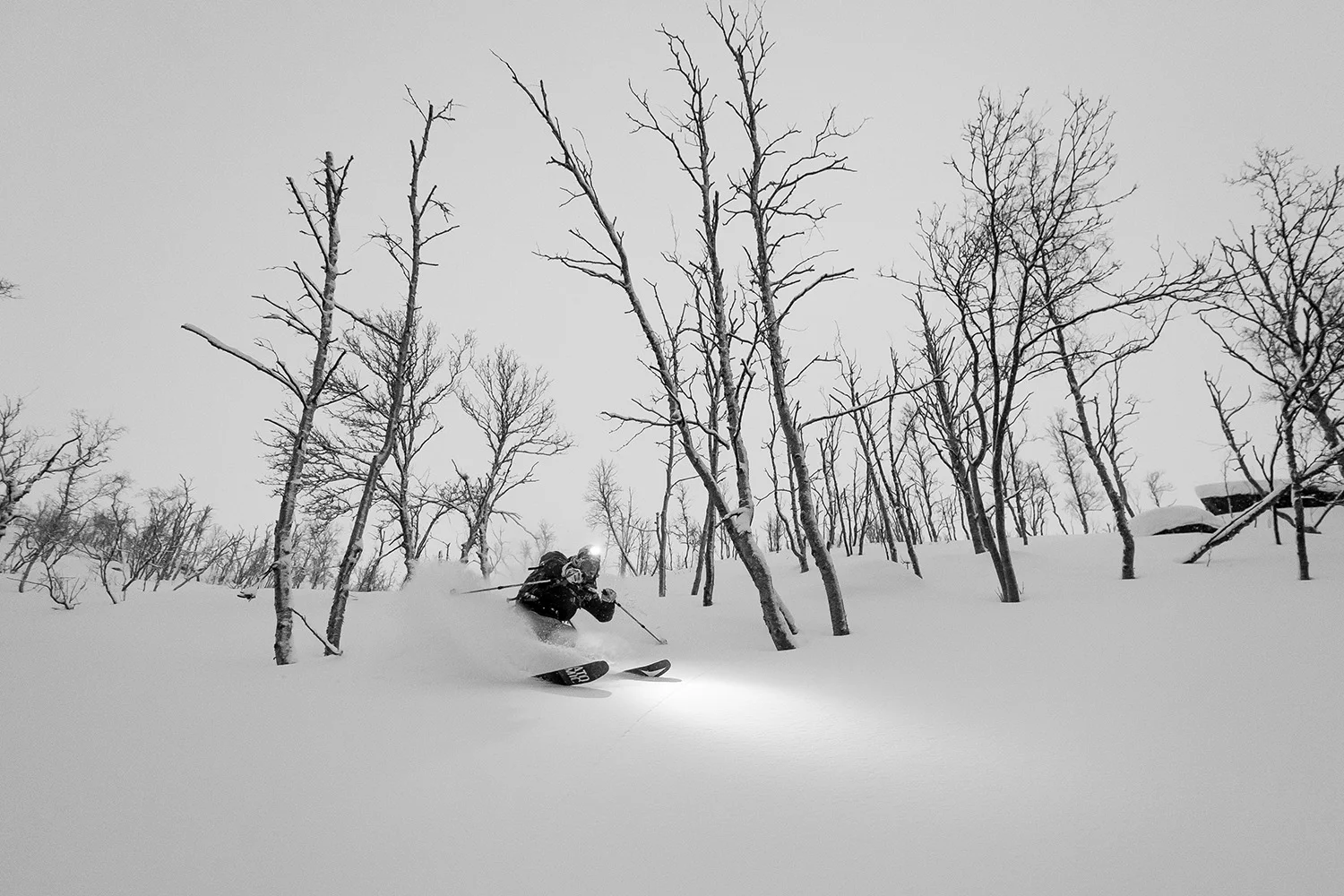 ski kaafjord Foto Ørjan Bertelsen