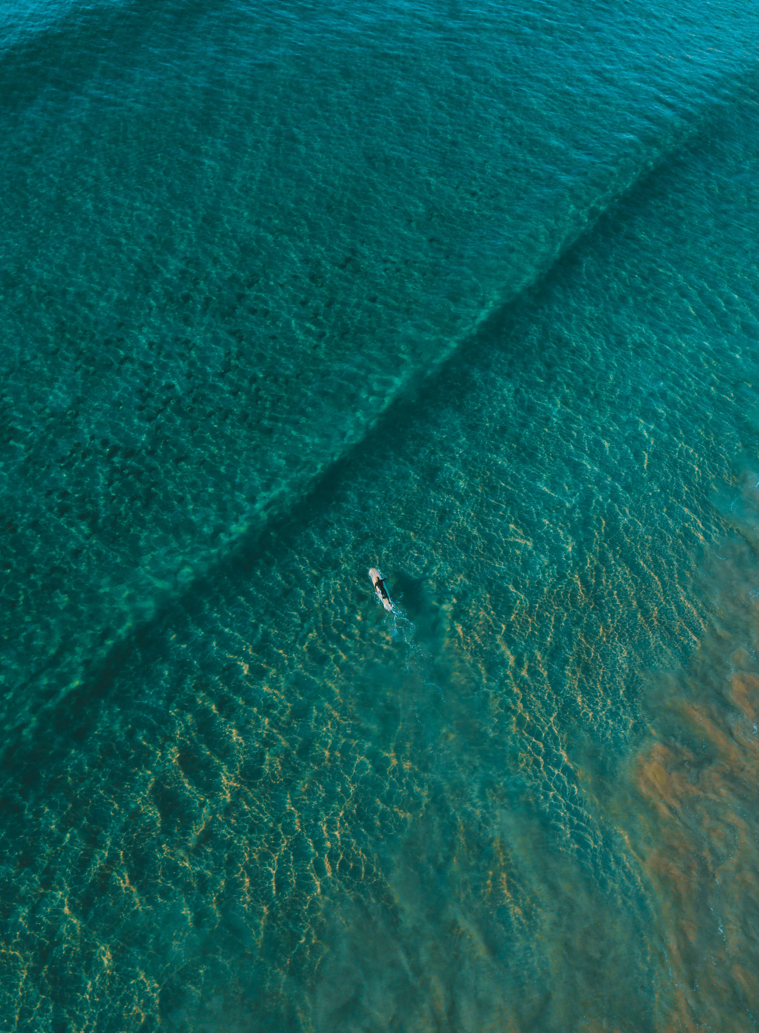 DJI_0383.jpg