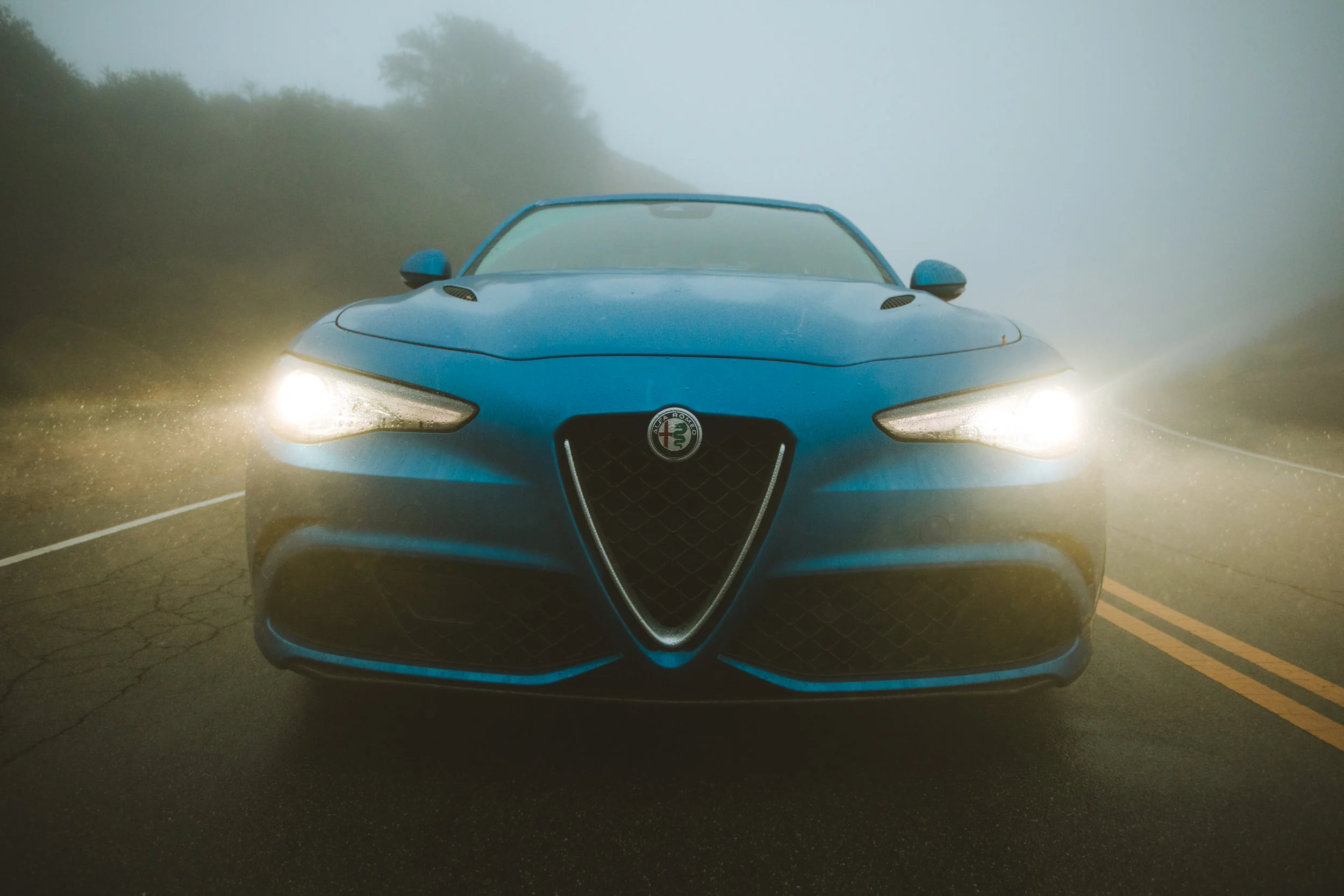 F95A7314.jpg