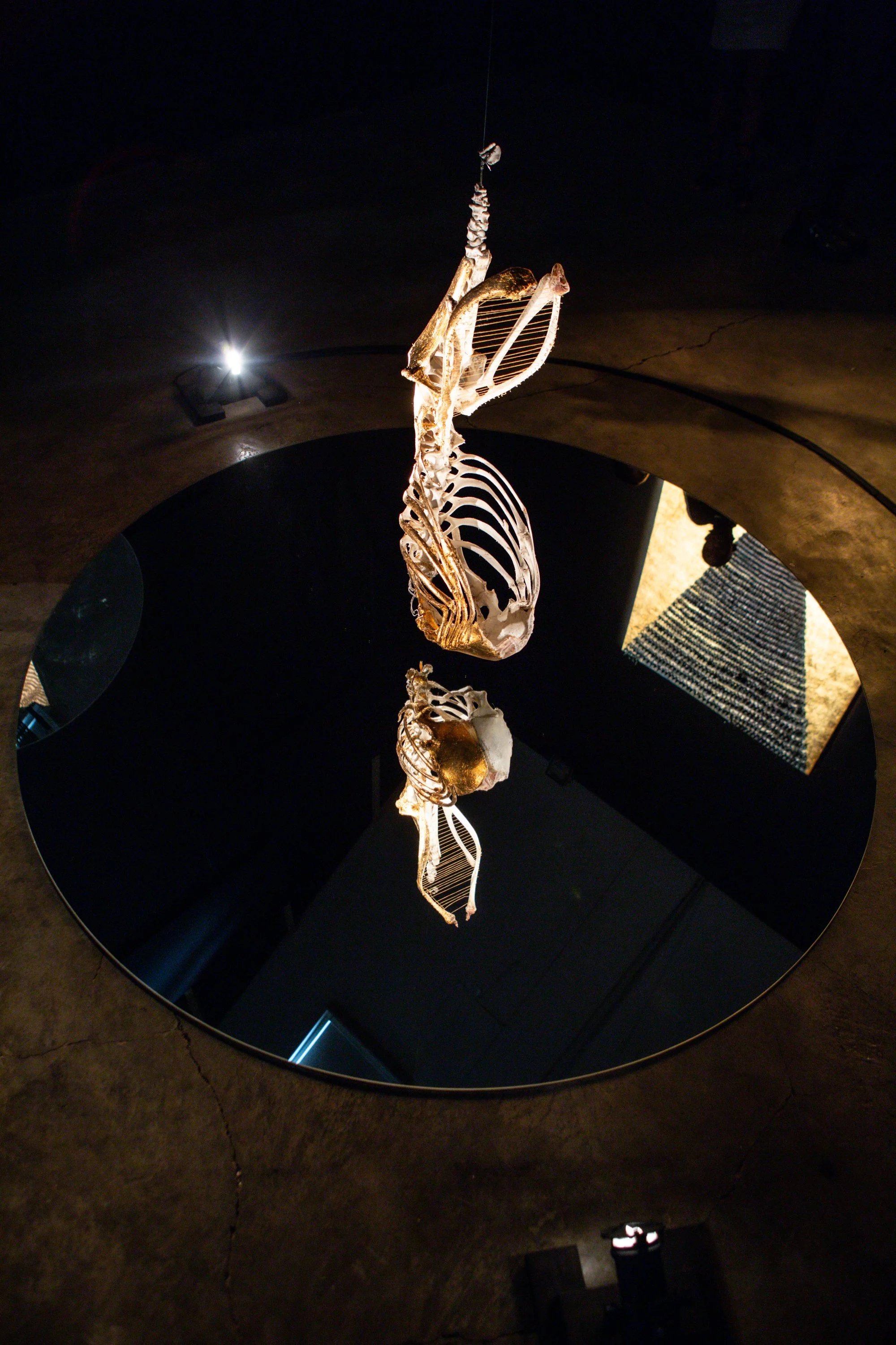 2C6A8545.jpg