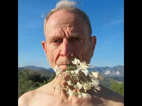 THE LONG MINUTE | TASTE OF SPRING