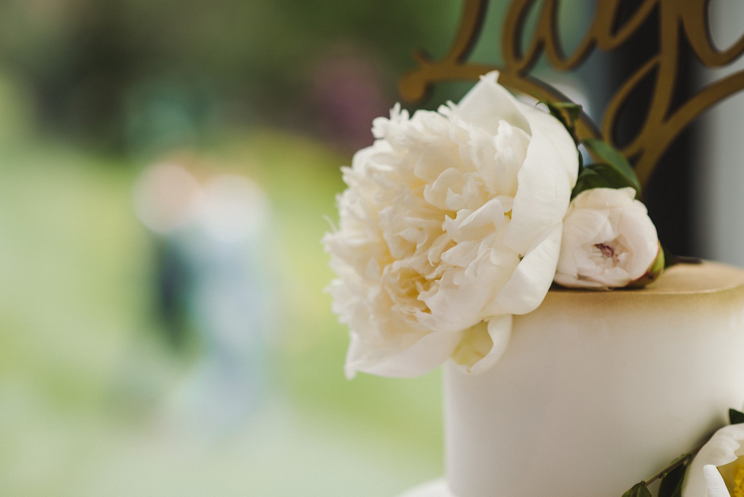 Emily_Mark_Tyn_Dwr_Hall_Wedding_0109.jpg