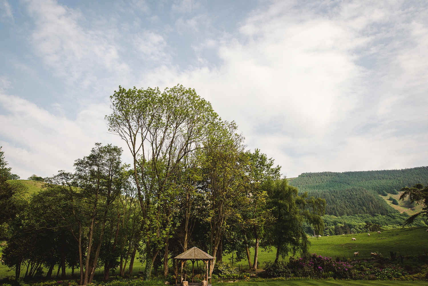 Emily_Mark_Tyn_Dwr_Hall_Wedding_0116.jpg