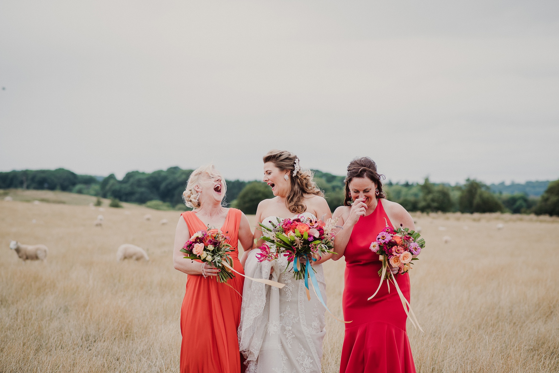 Daz and Rachael Huntlands_Farm_0068.jpg
