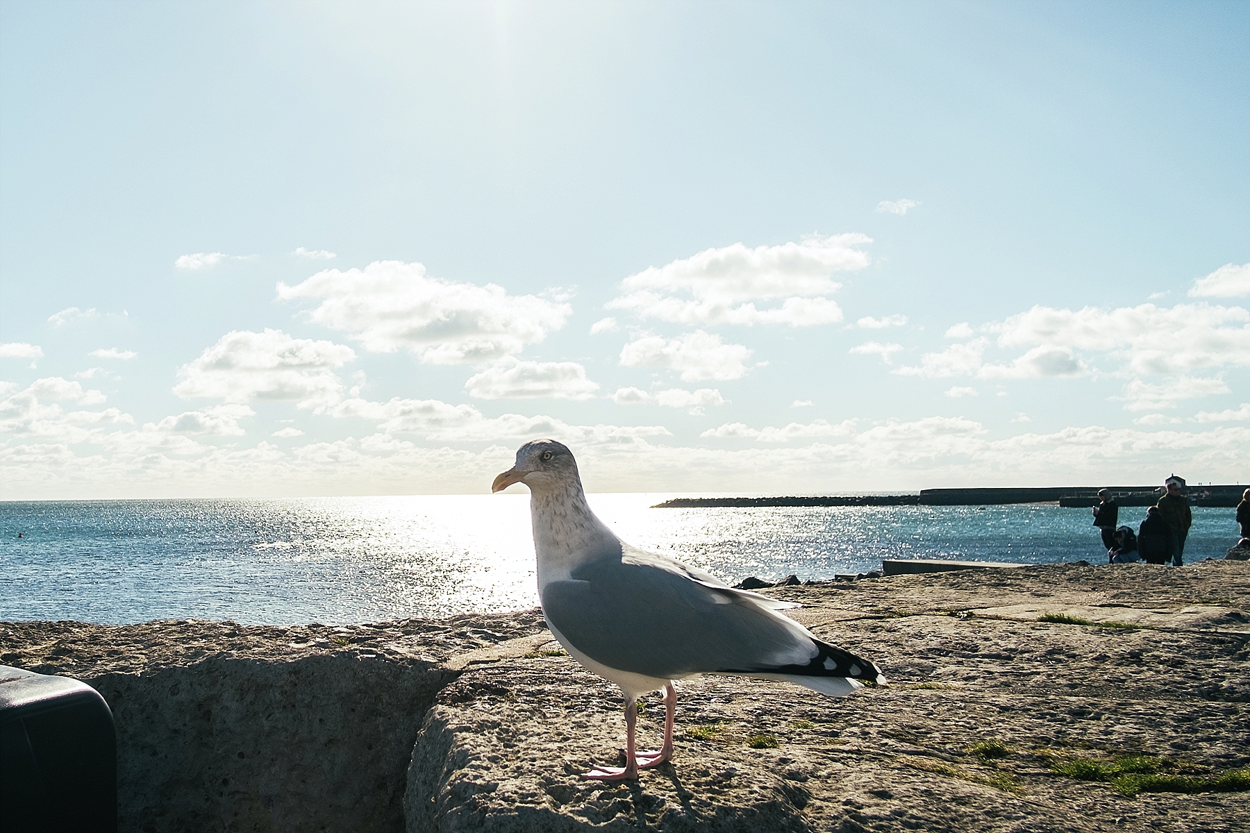 marlborough_cottage_combpyne_devon_2018_0007.jpg