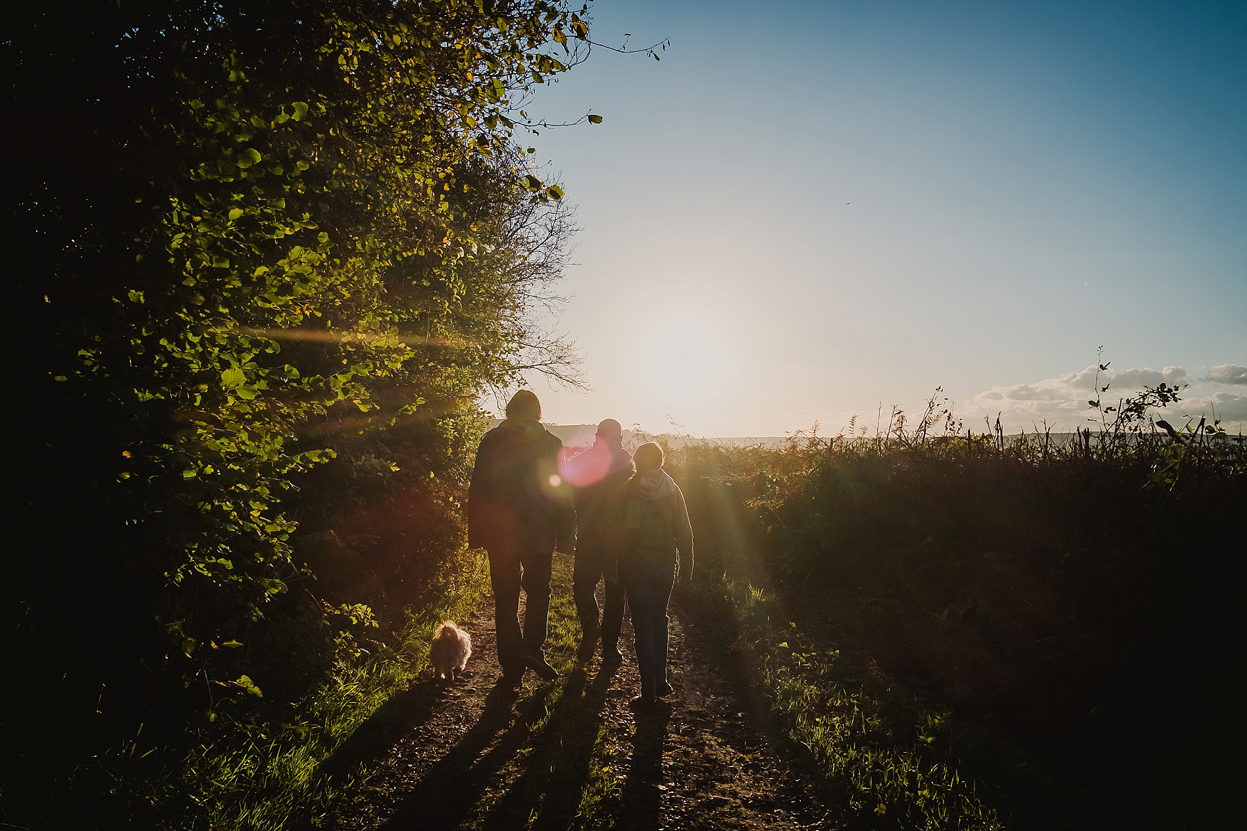 marlborough_cottage_combpyne_devon_2018_0045.jpg