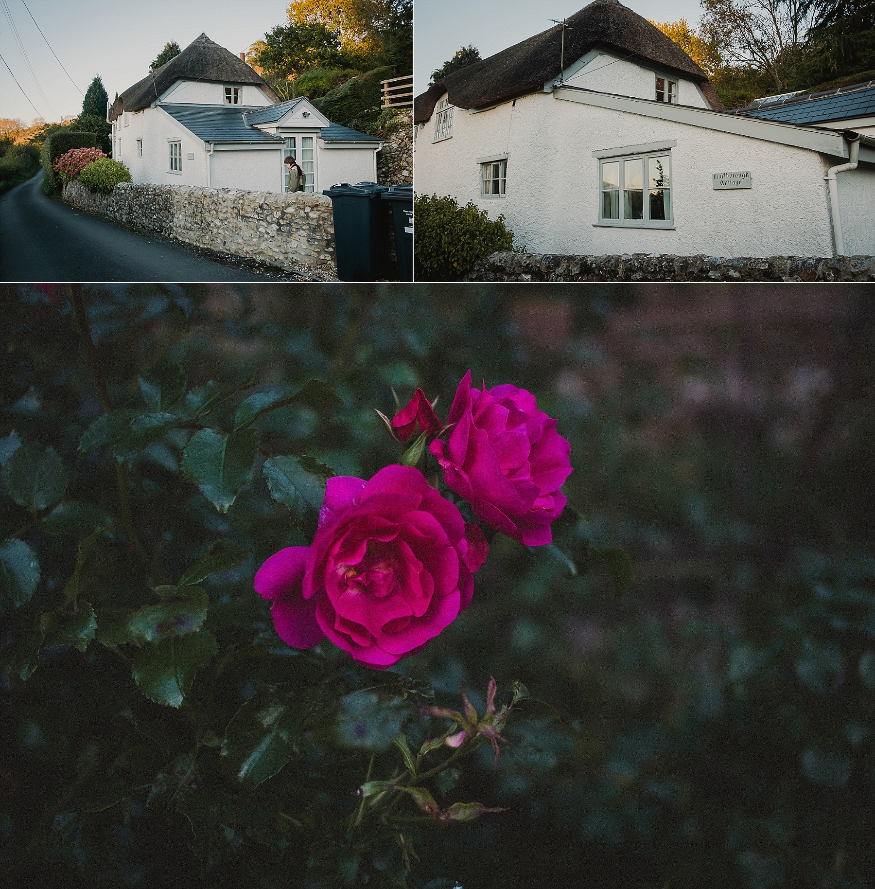 marlborough_cottage_combpyne_devon_2018_0052.jpg