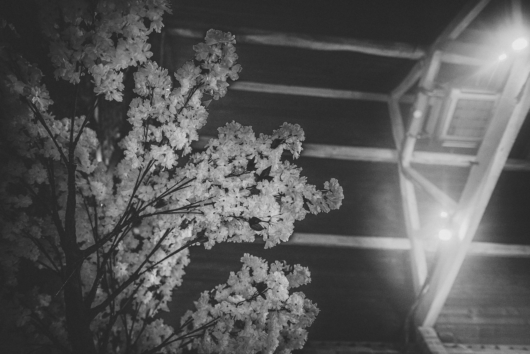 amytiphoto_curradine_showcase_jan_2019_0029.jpg