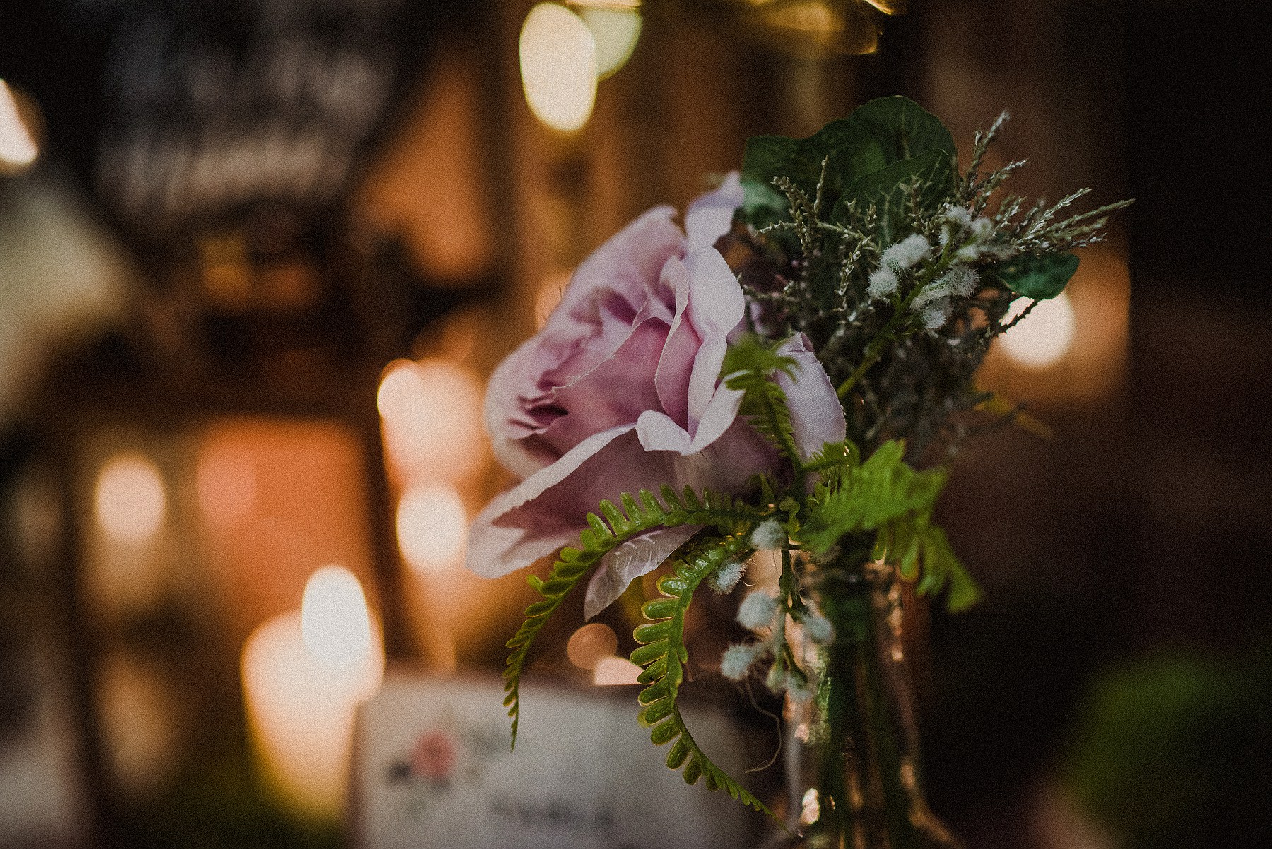 amytiphoto_curradine_showcase_jan_2019_0038.jpg