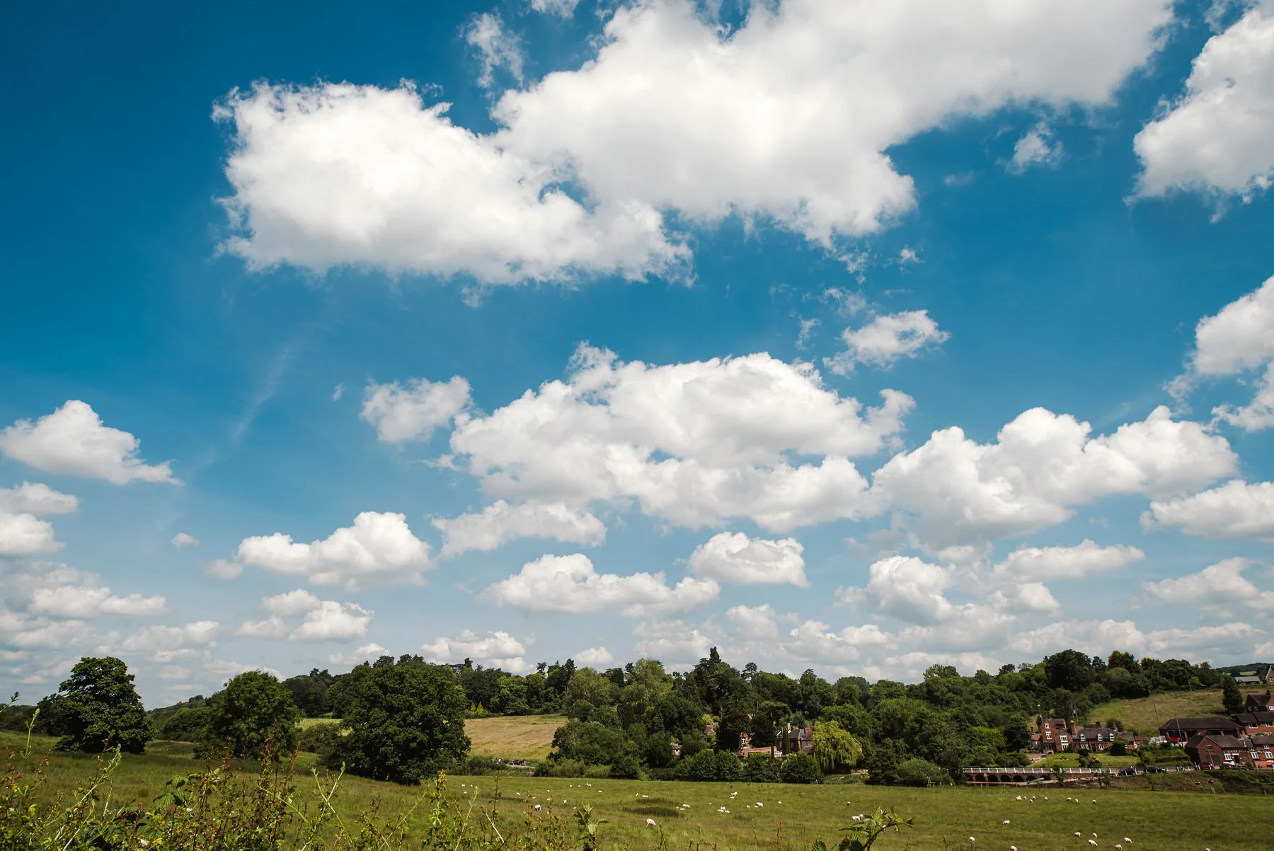 Elliot_Maxine_arleey_house_0140.jpg