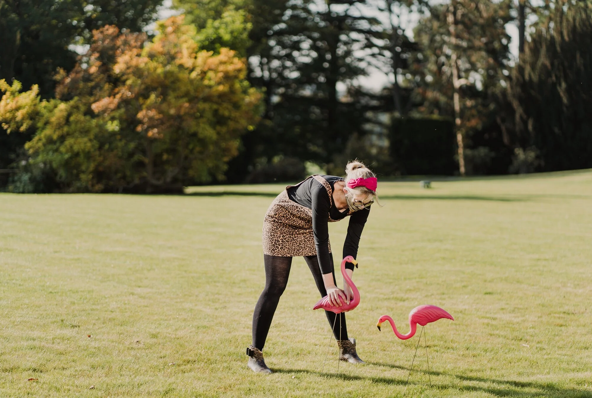 arley_flamingo_SNEAK_PEEK (38).jpg
