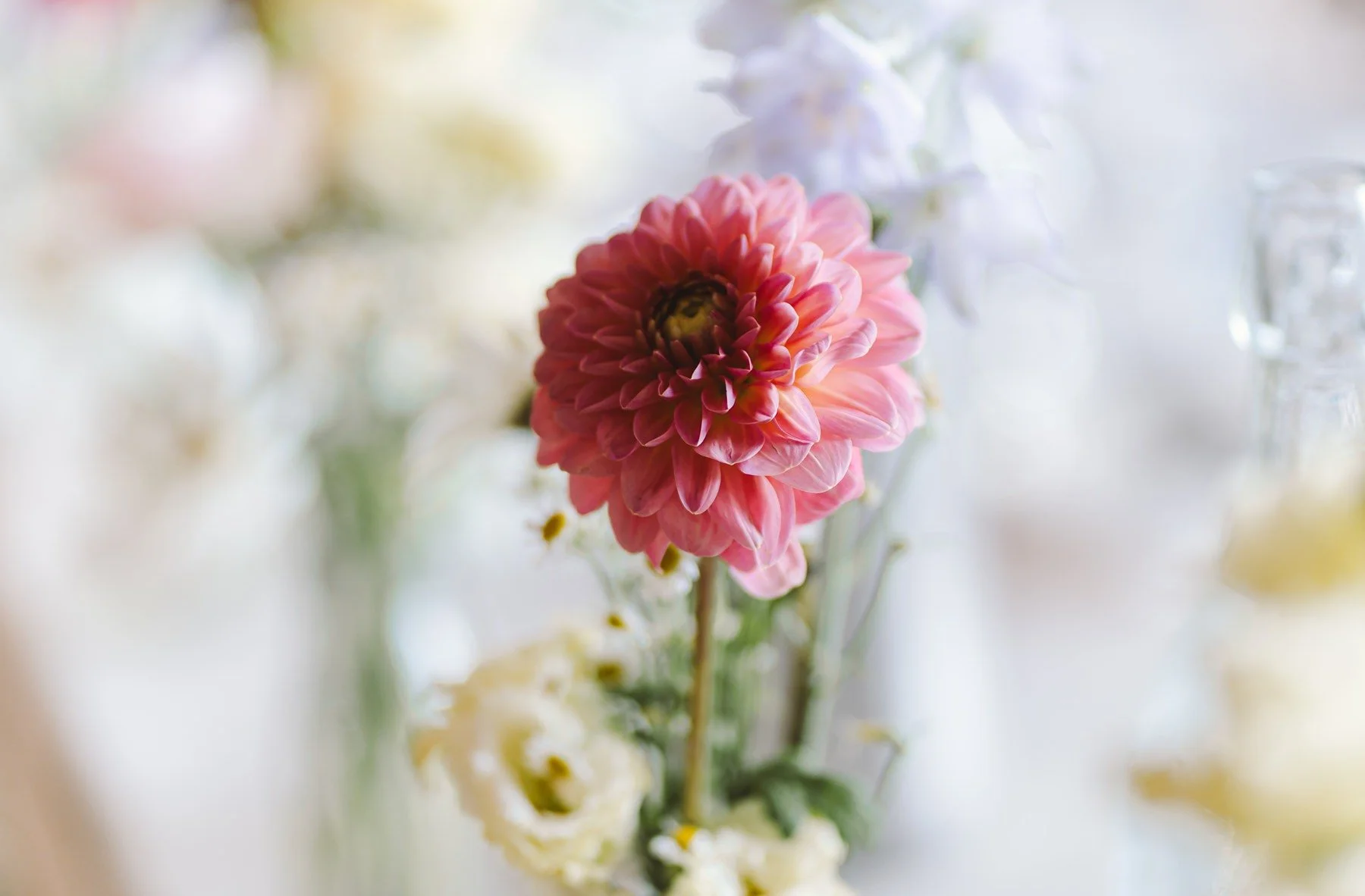 Ben_Carla_Wedding_Tease_Colville_Hall-196_0003.jpg