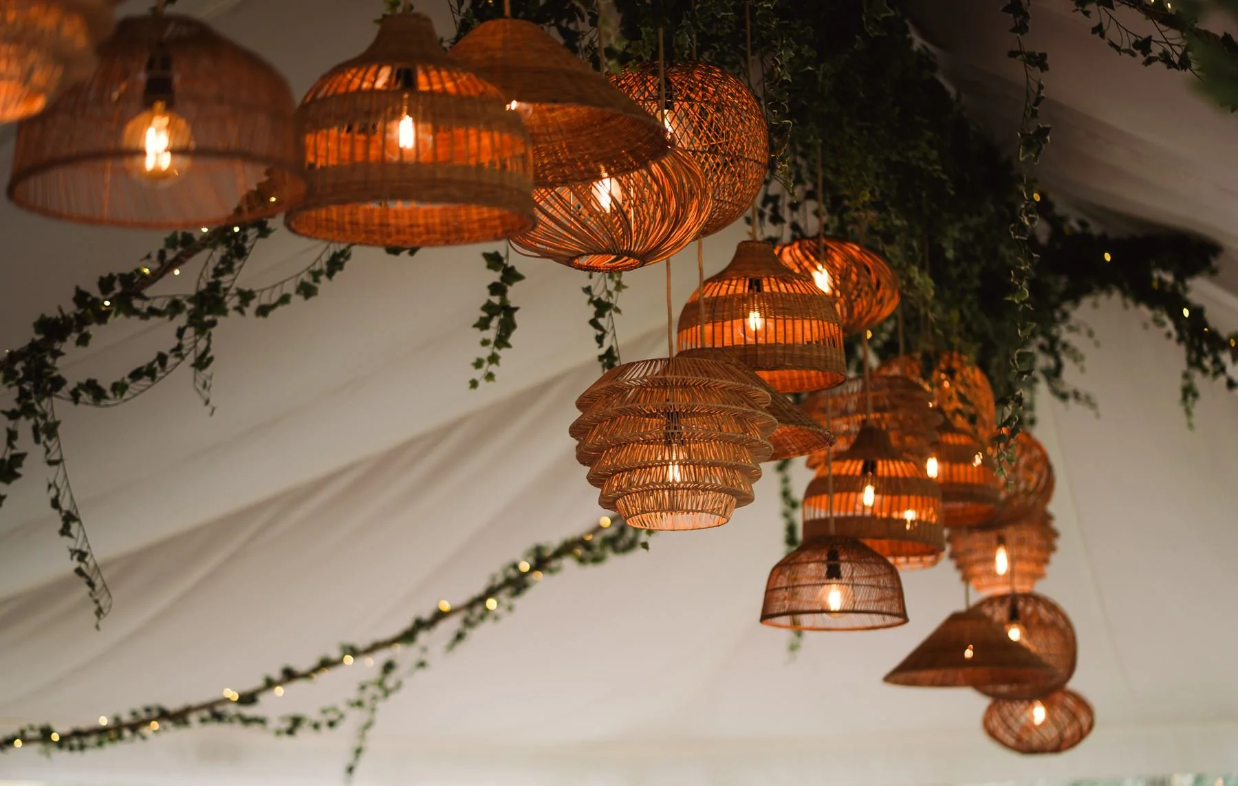 char_gary_tease_delbury_hall_wedding_amytiphoto_0354.jpg