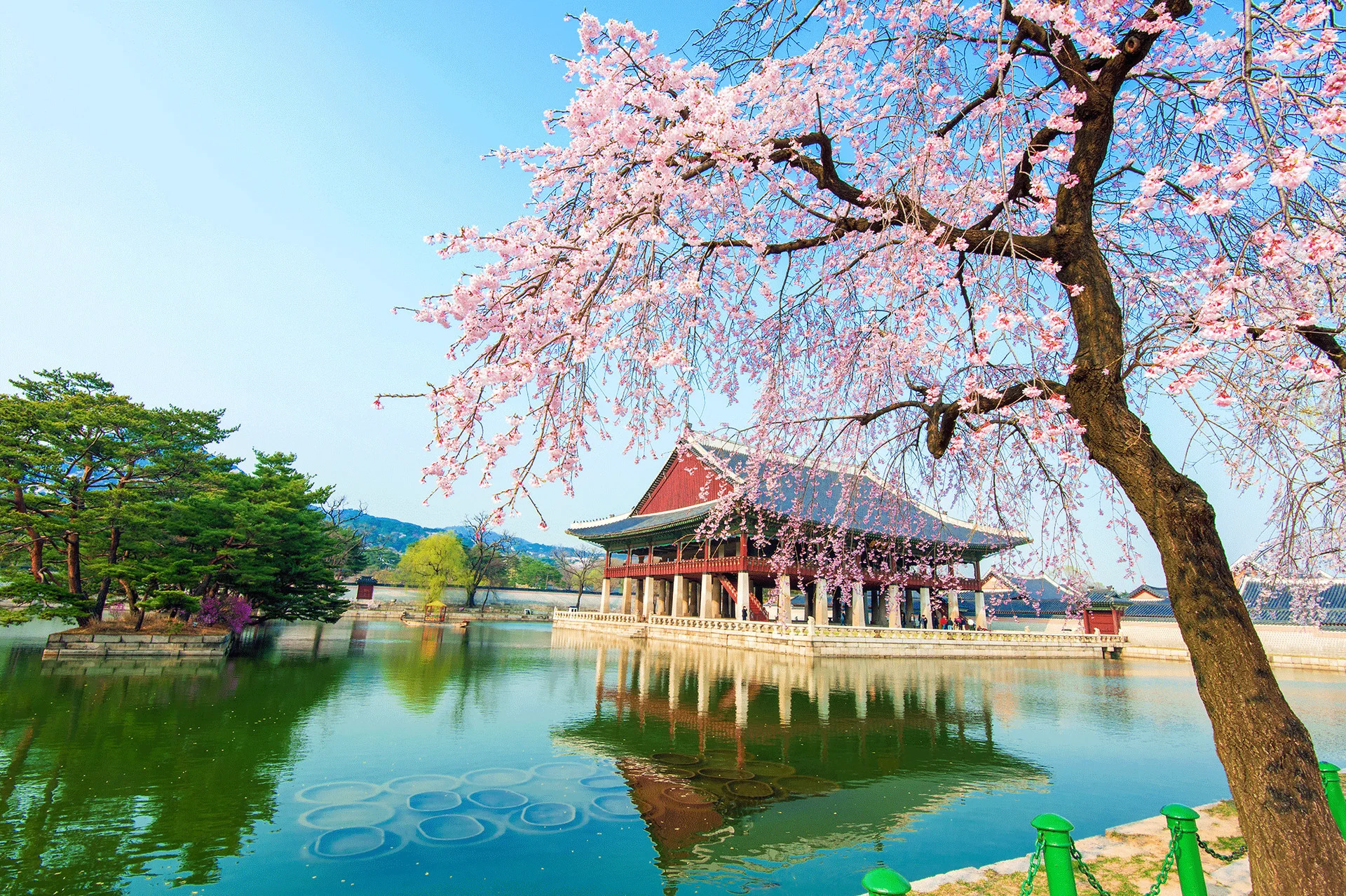 Corea del sur.jpg