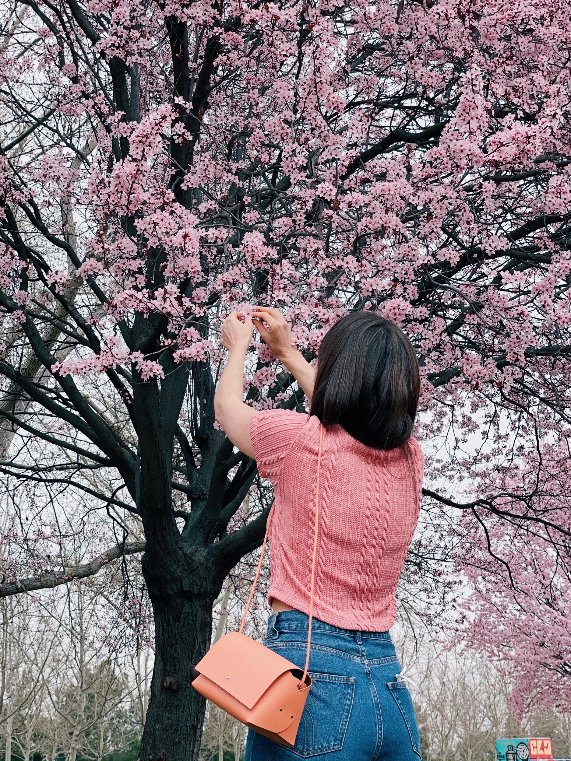 PRIMAVERA MADE IN SPAIN