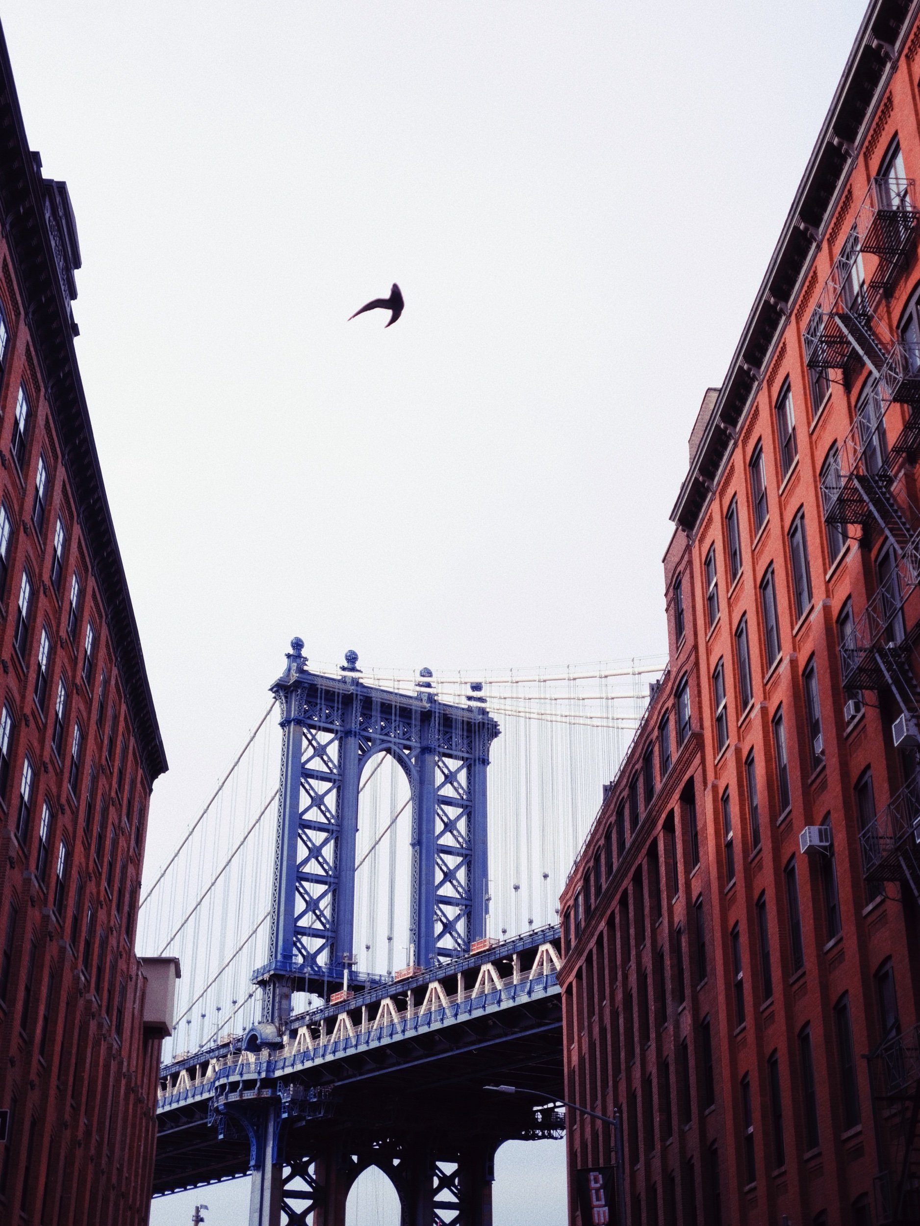 COMERSE NY EN 10 PASOS