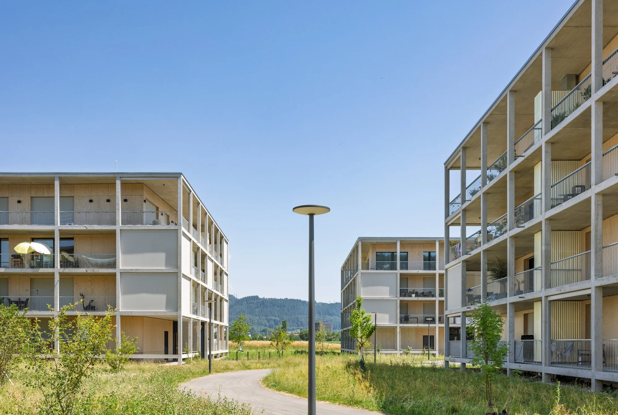 Stein_Neumatt_2_271.jpg