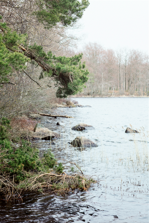 NATURE