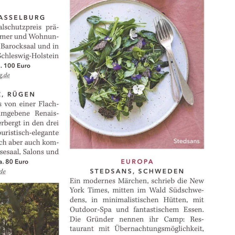 Thanks to @salon_magazin for spreading the word about is in German language 😎

#stedsansinthewoods @visitswedende