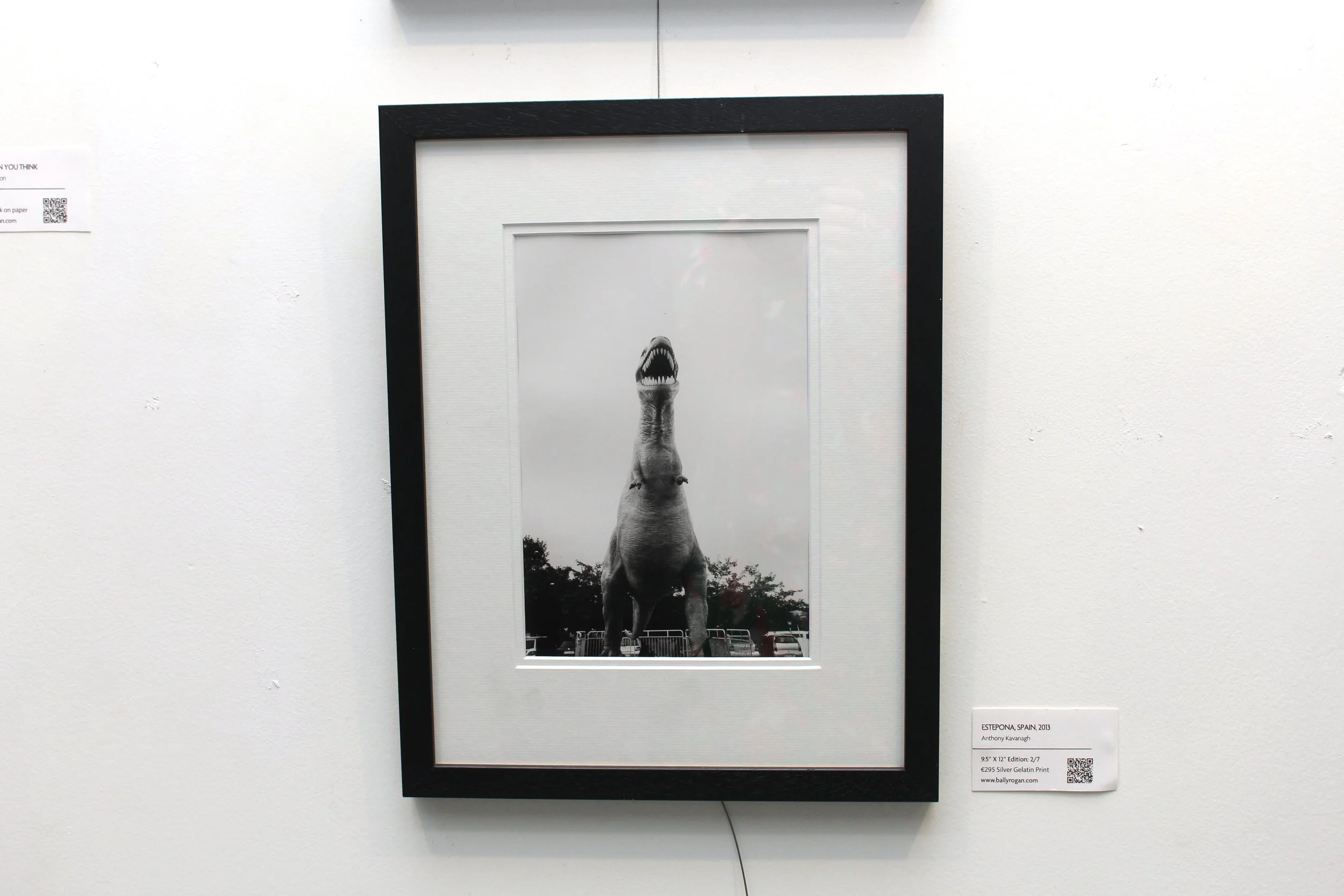 estepona spain 2013 - anthony kavanagh.jpg