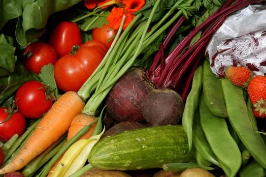 Harvest Thanksgiving Lunch